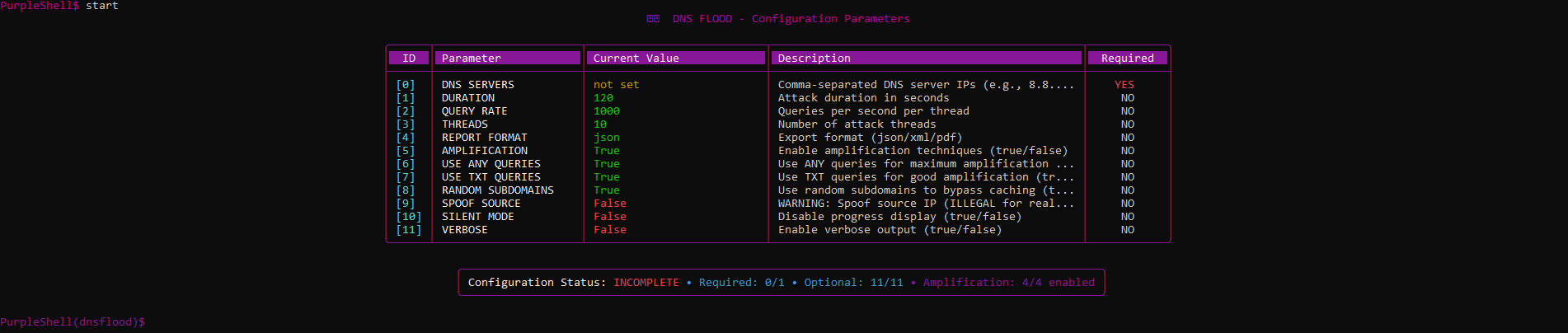 DNS Flood